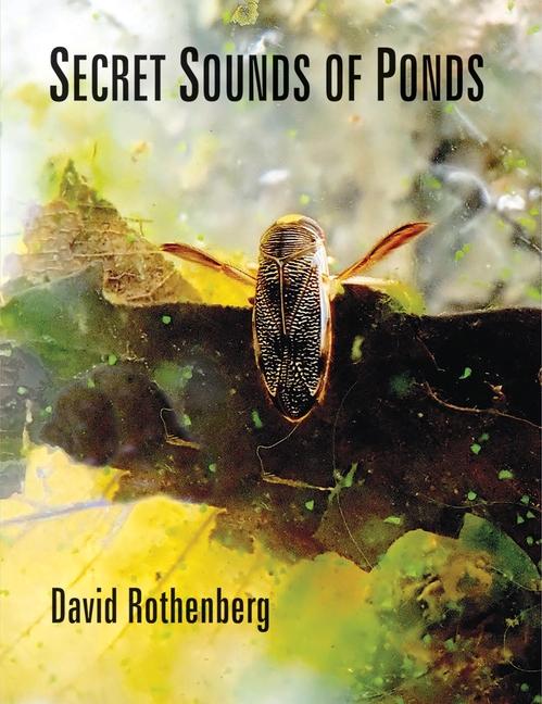 Carte Secret Sounds of Ponds 
