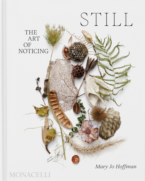 Книга Still: The Art of Noticing 