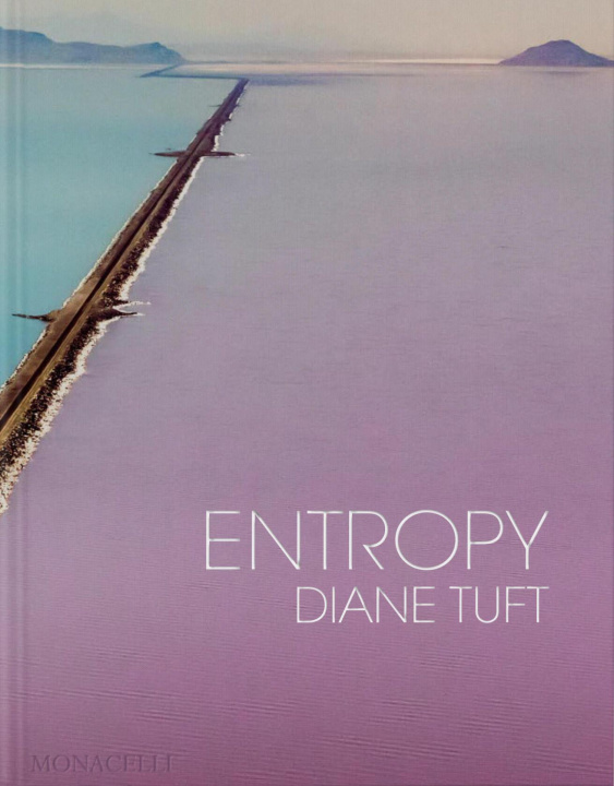 Book Entropy Stacey Epstein