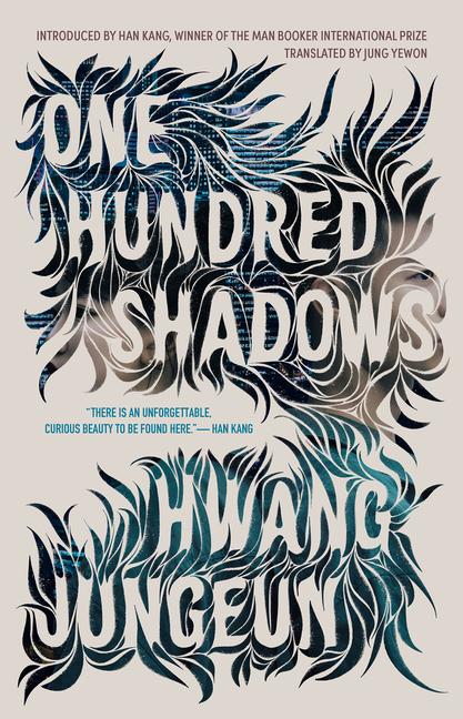 Knjiga One Hundred Shadows Jung Yewon