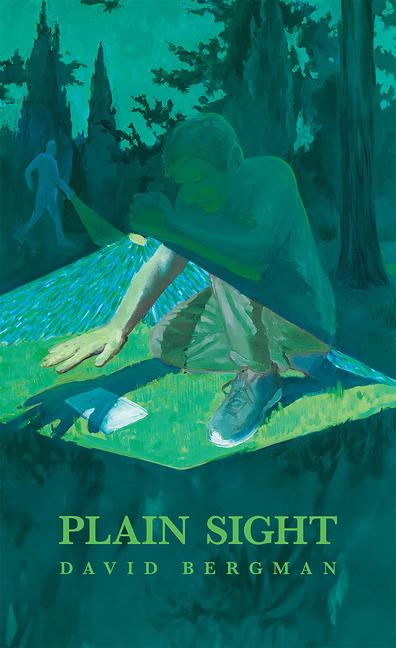 Boek Plain Sight 