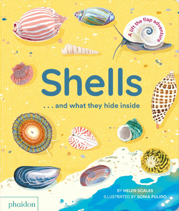 Buch Shells... and What They Hide Inside: A Lift-The-Flap Adventure 