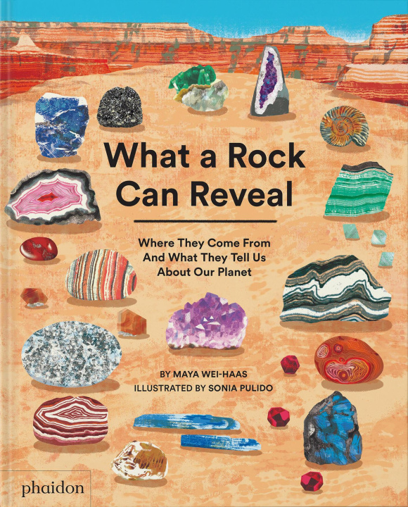 Könyv What a Rock Can Reveal: Where They Come from and What They Tell Us about Our Planet 