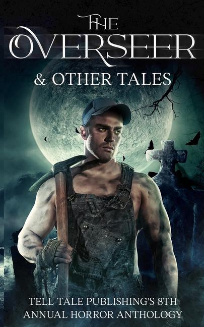 Kniha The Overseer Shawn D. Brink