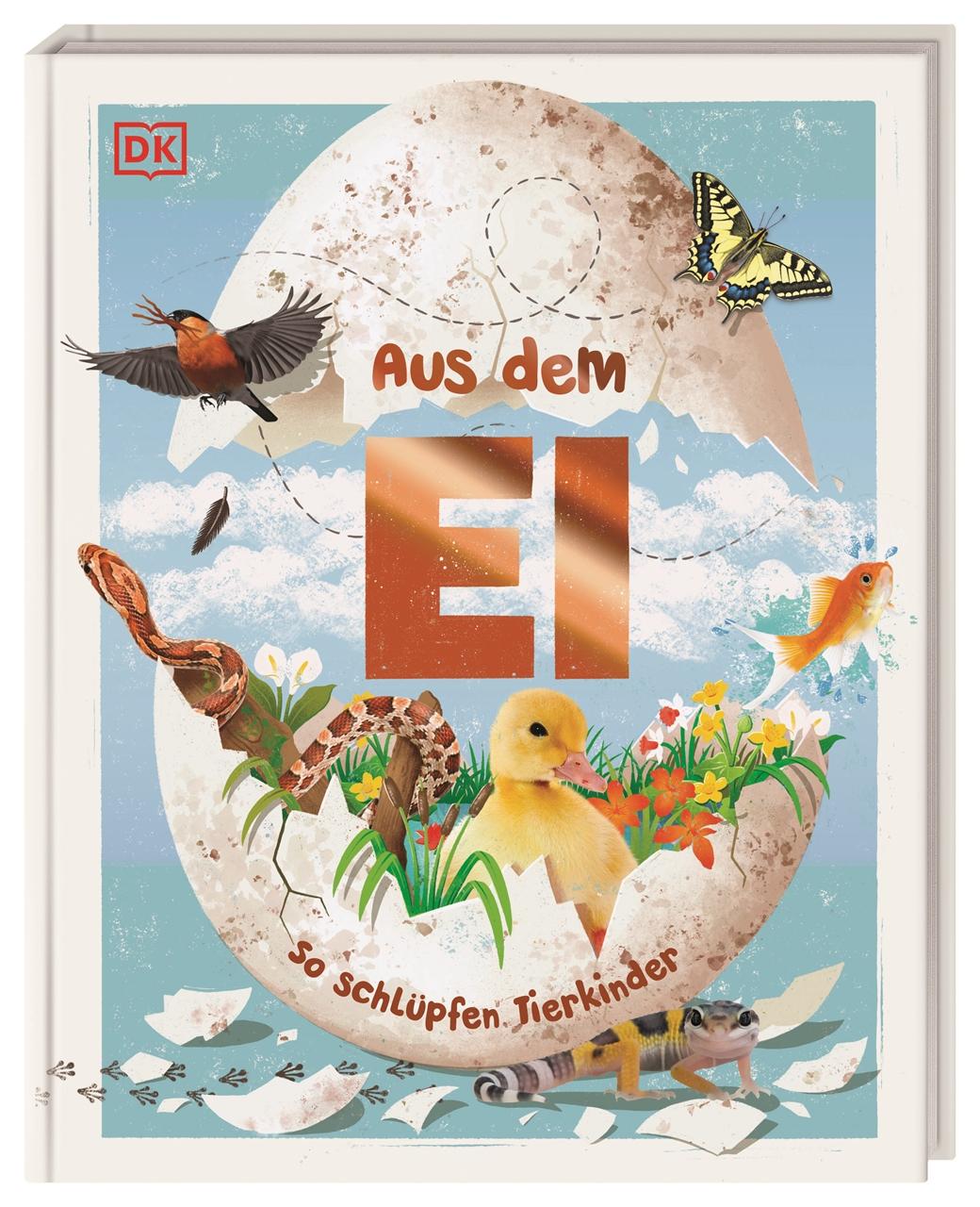 Книга Aus dem Ei Ella Ginn