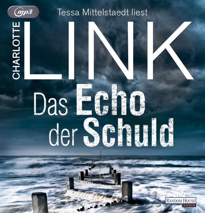 Digital Das Echo der Schuld Tessa Mittelstaedt