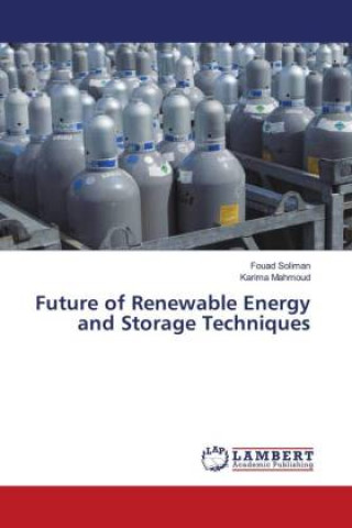 Book Future of Renewable Energy and Storage Techniques Karima Mahmoud