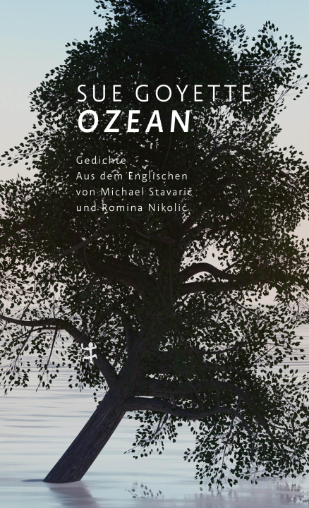 Libro Ozean Michael Stavaric