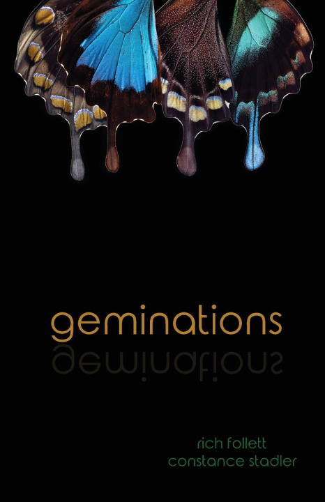 Book geminations Constance Stadler