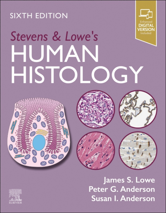 Könyv Stevens & Lowe's Human Histology James S. Lowe