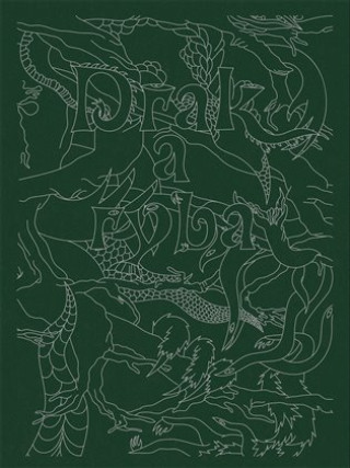Buch Drak a ryba Marie Lukáčová