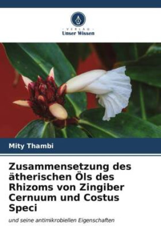 Carte Zusammensetzung des ätherischen Öls des Rhizoms von Zingiber Cernuum und Costus Speci 