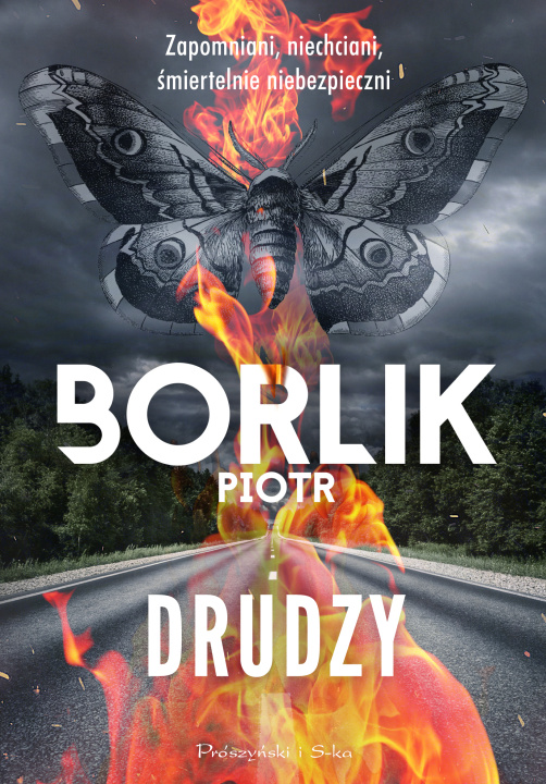 Knjiga Drudzy Borlik Piotr