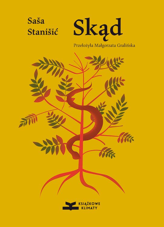 Buch Skąd Saša Stanišić
