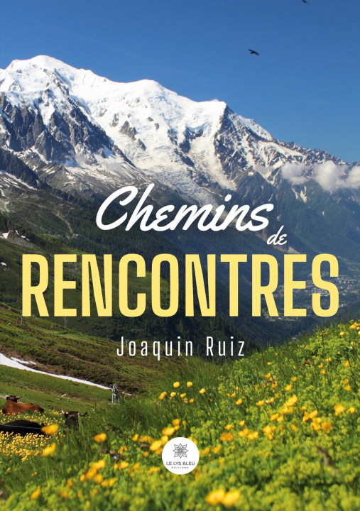 Book CHEMINS DE RENCONTRES JOAQUIN RUIZ