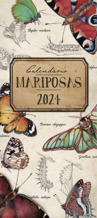 Kniha CALENDARIO 2024 ILUSTRADO MARIPOSAS 
