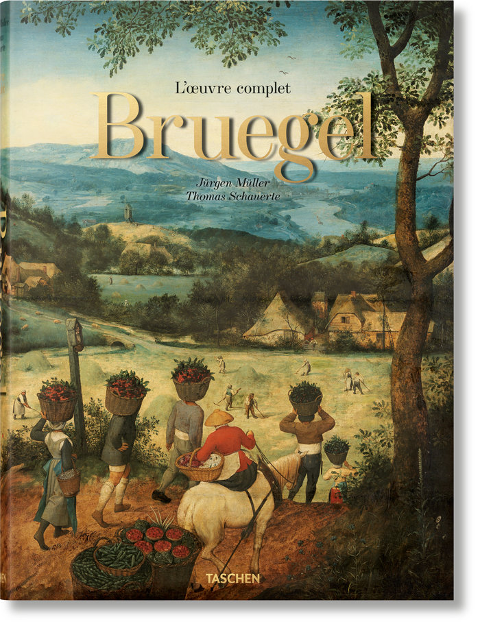 Kniha BRUEGEL Müller
