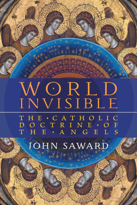 Buch World Invisible John Saward