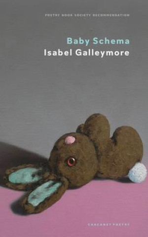 Book Baby Schema Isabel Galleymore