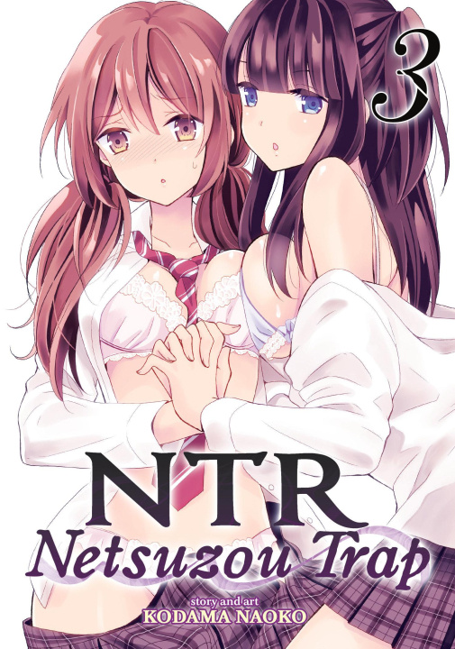 Kniha NTR NETSUZOU TRAP V03 V03