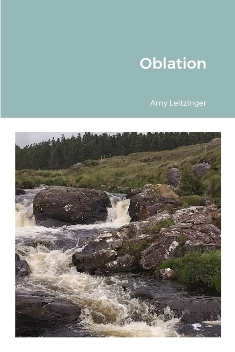 Knjiga Oblation Amy Leitzinger