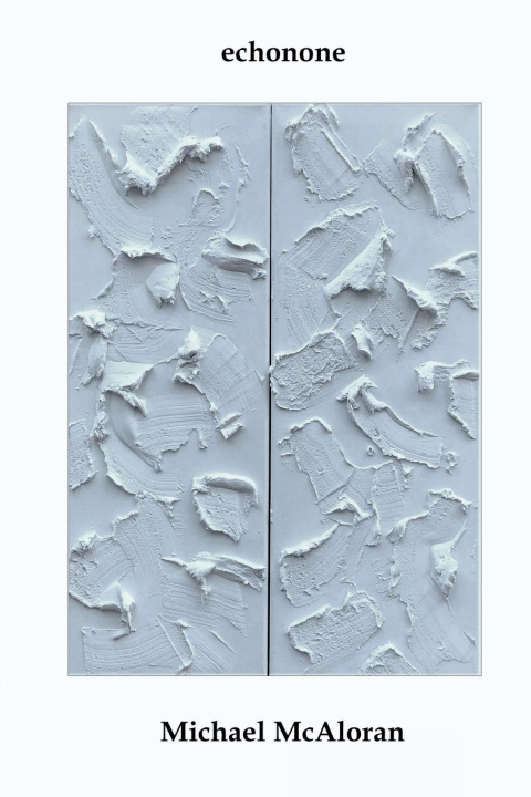 Book echonone Michael McAloran