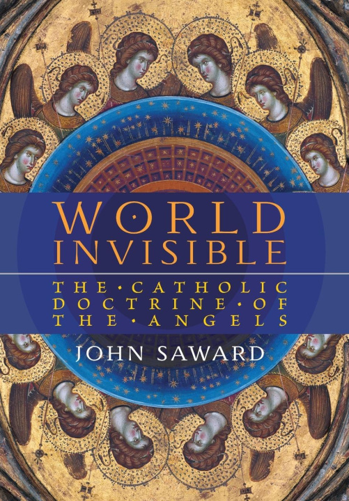 Buch World Invisible John Saward