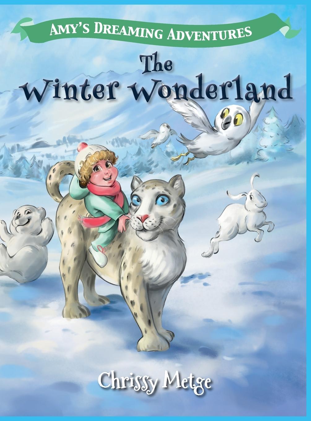 Libro Amy's Dreaming Adventures Chrissy Metge