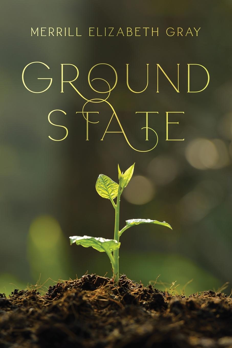 Knjiga Ground State Merrill Gray