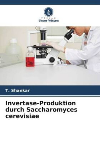 Carte Invertase-Produktion durch Saccharomyces cerevisiae 