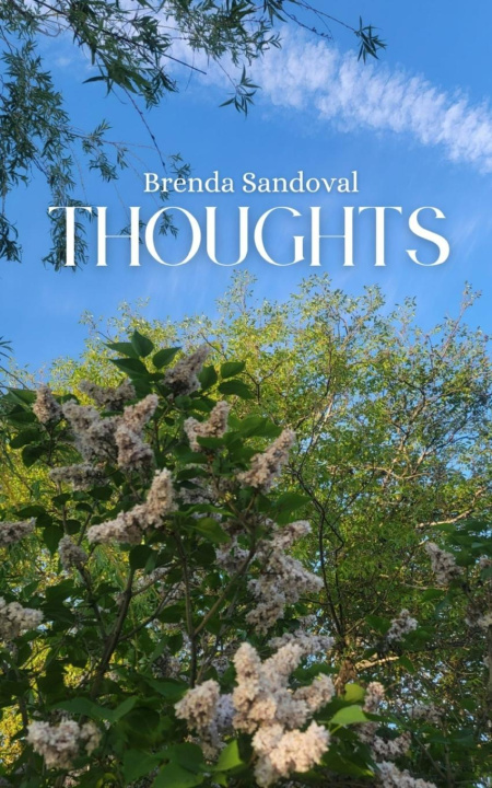 Knjiga Thoughts Brenda Sandoval