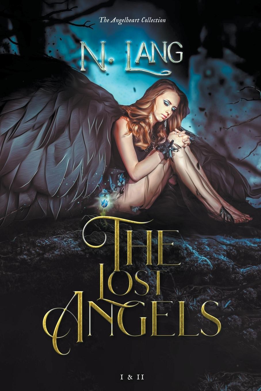 Knjiga The Lost Angels N. Lang