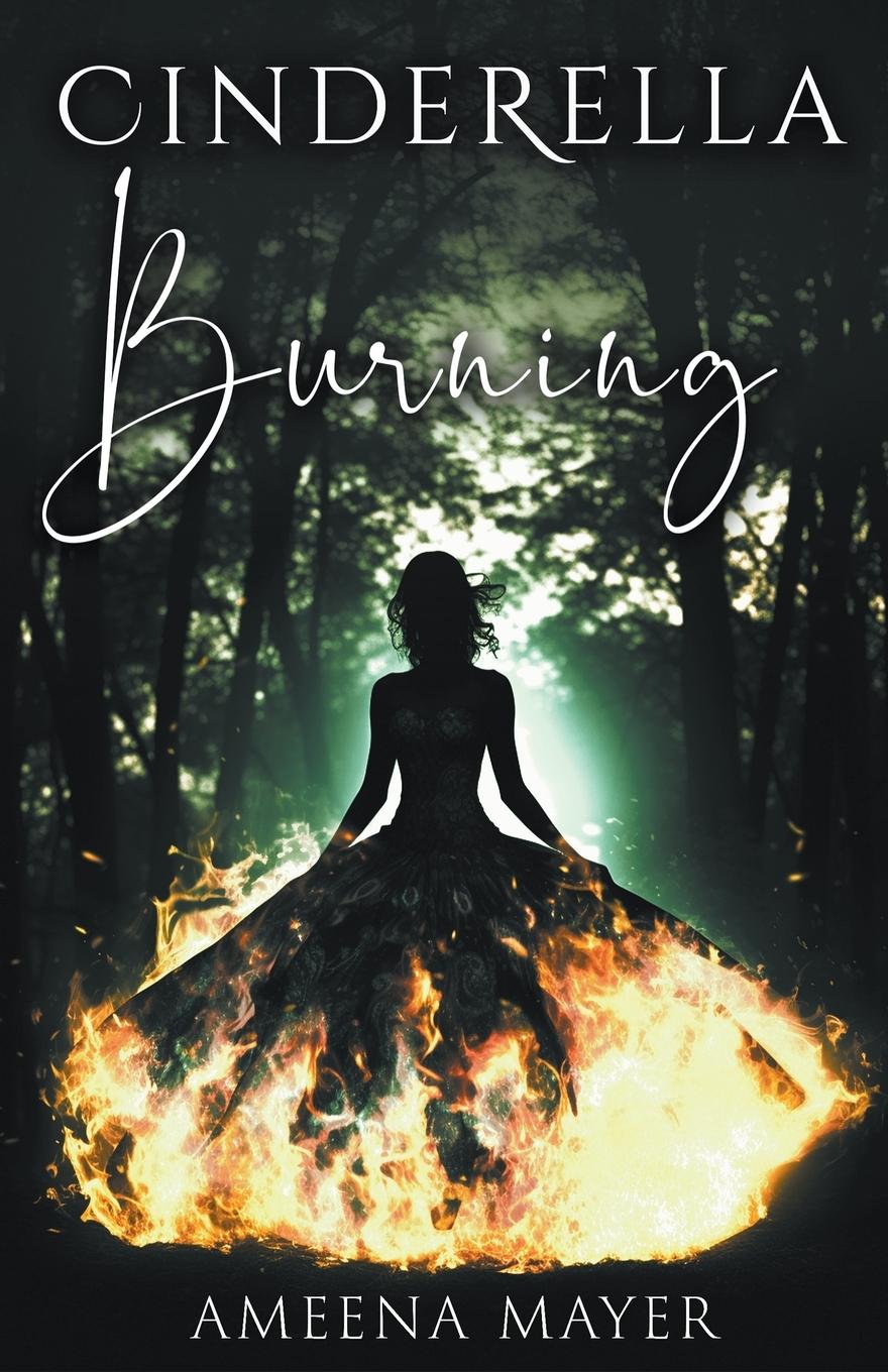 Knjiga Cinderella Burning Ameena Mayer