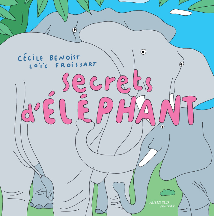 Knjiga Secrets d'éléphant Benoist