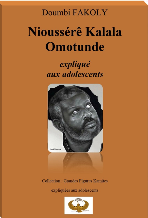 Kniha NIOUSSÉRÊ KALALA OMOTUNDE expliqué aux adolescents Fakoly