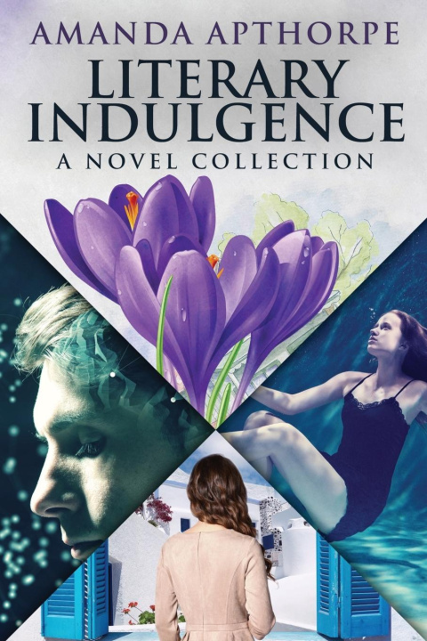 Knjiga Literary Indulgence Amanda Apthorpe