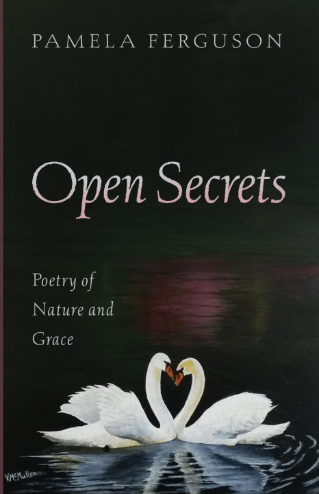 Book Open Secrets Pamela Ferguson