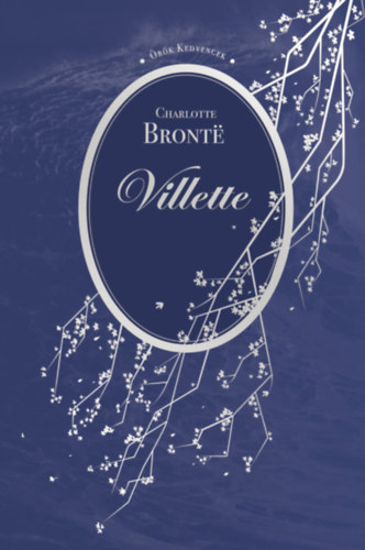 Buch Villette Charlotte Brontë