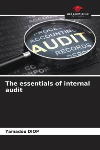 Книга The essentials of internal audit 