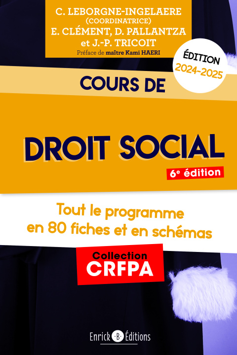 Kniha Cours de droit social 2024-2025 Tricoit