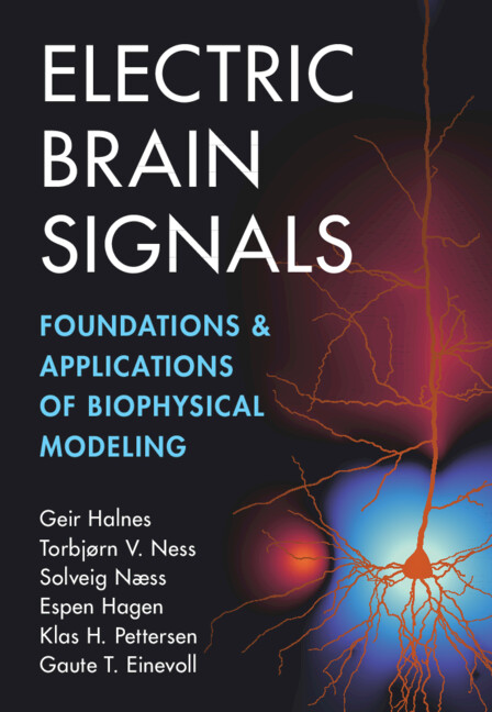 Książka Electric Brain Signals Geir Halnes