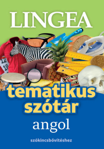 Boek Angol tematikus szótár 