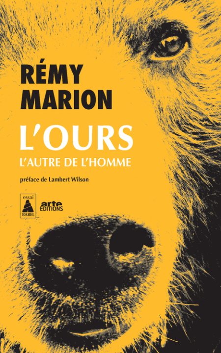 Kniha L'ours Marion