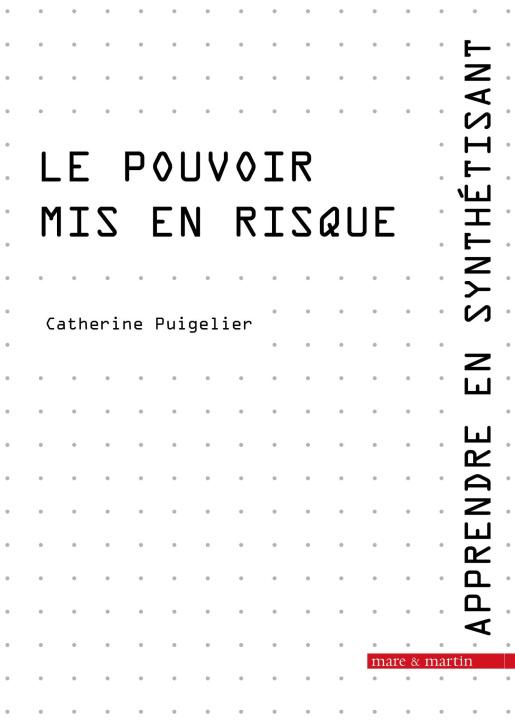 Book Le pouvoir mis en risque Puigelier