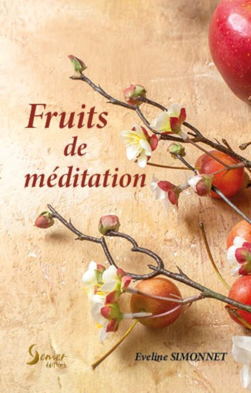 Knjiga Fruits de méditation SIMONNET