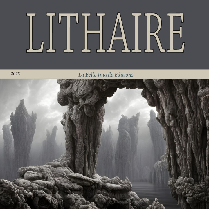 Buch Lithaire 4 Pierre Petiot