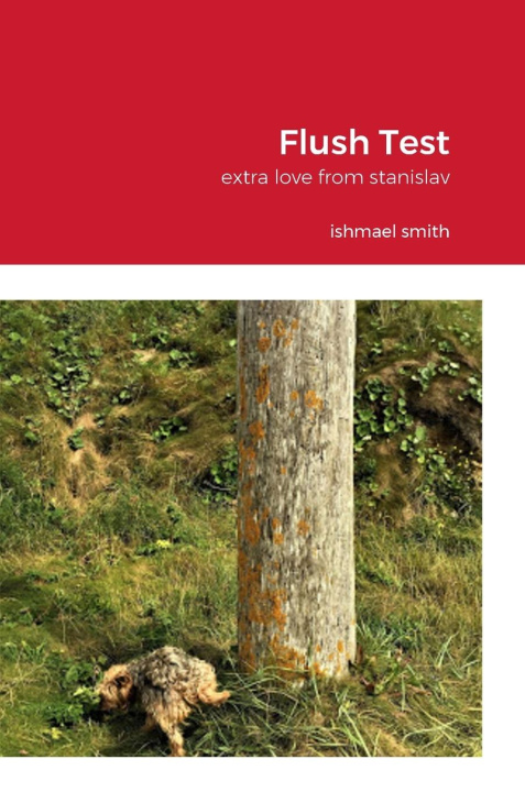 Knjiga Flush Test ishmael smith