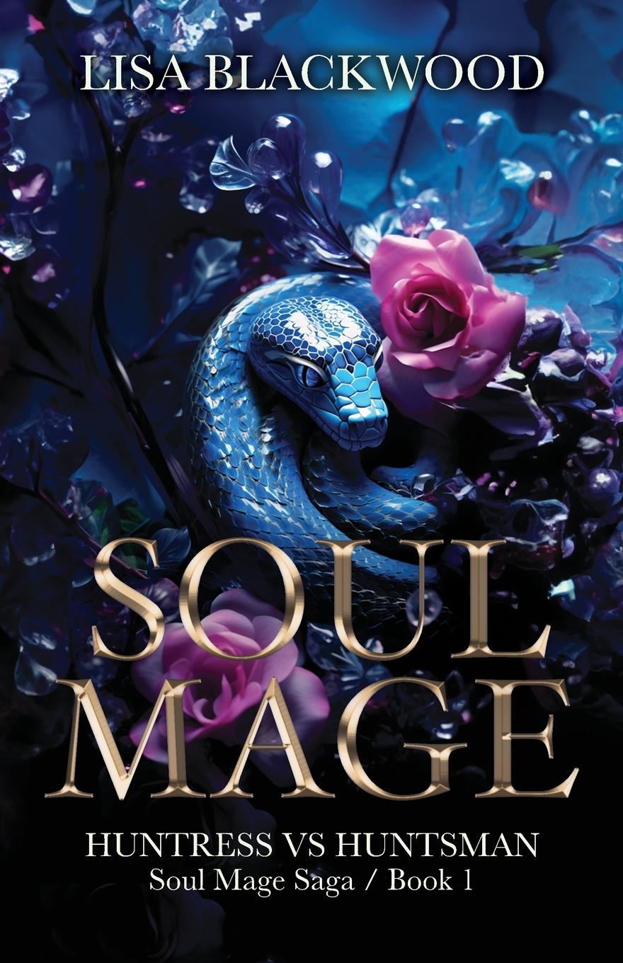 Knjiga Soul Mage Lisa Blackwood