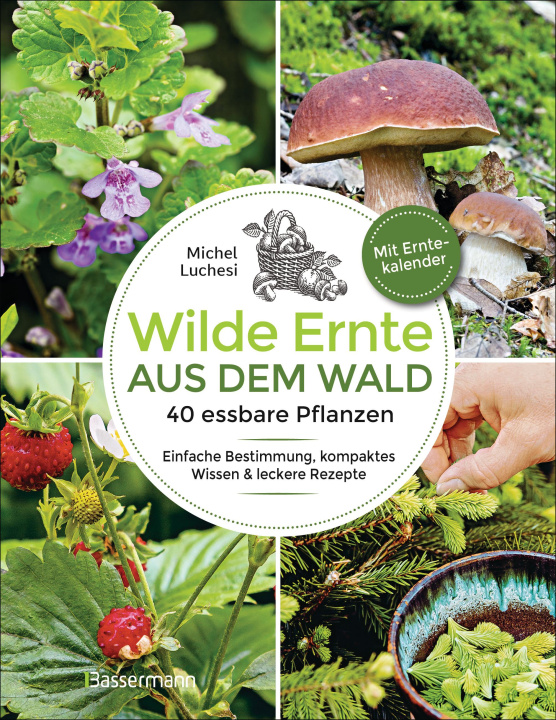 Buch Wilde Ernte aus dem Wald - 40 essbare Pflanzen - einfache Bestimmung, kompaktes Wissen und leckere Rezepte 