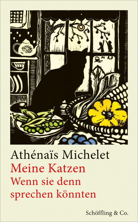 Kniha Meine Katzen Florian Kranz